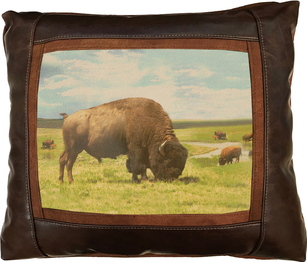 Buffalo Bills Cowgirl Frame Pillow By Sweetwater – Western Passion