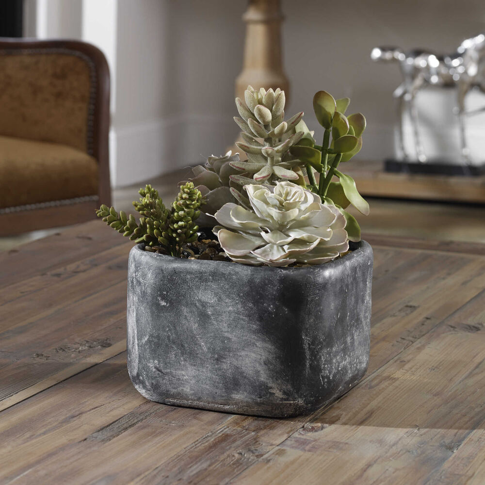 Modern living room featuring contemporary desert succulents in minimalist white planters, set against a neutral-toned backdrop.