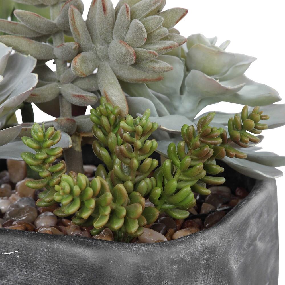 Contemporary home office with small desert succulents arranged on a desk, showcasing minimalist design and natural elements.