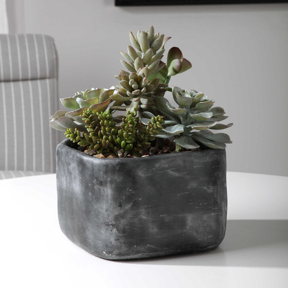 Close-up of vibrant desert succulents in sleek modern planters, surrounded by contemporary home decor pieces.