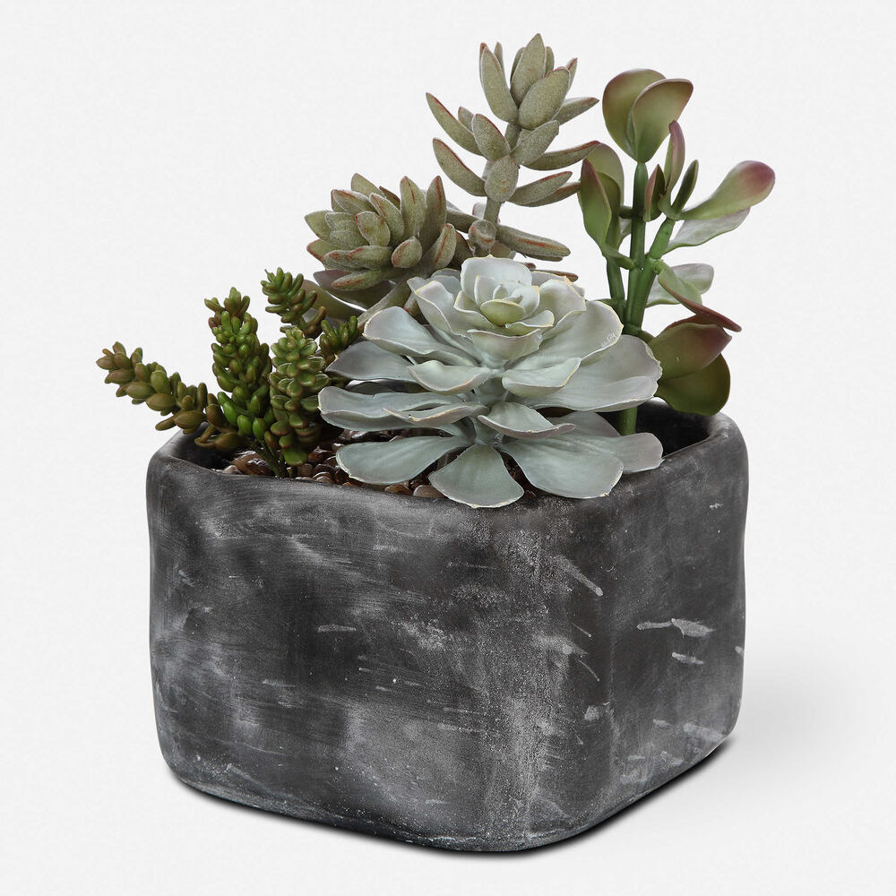 Elegant dining area with desert succulents in contemporary ceramic pots, adding a touch of greenery to a clean, neutral space.