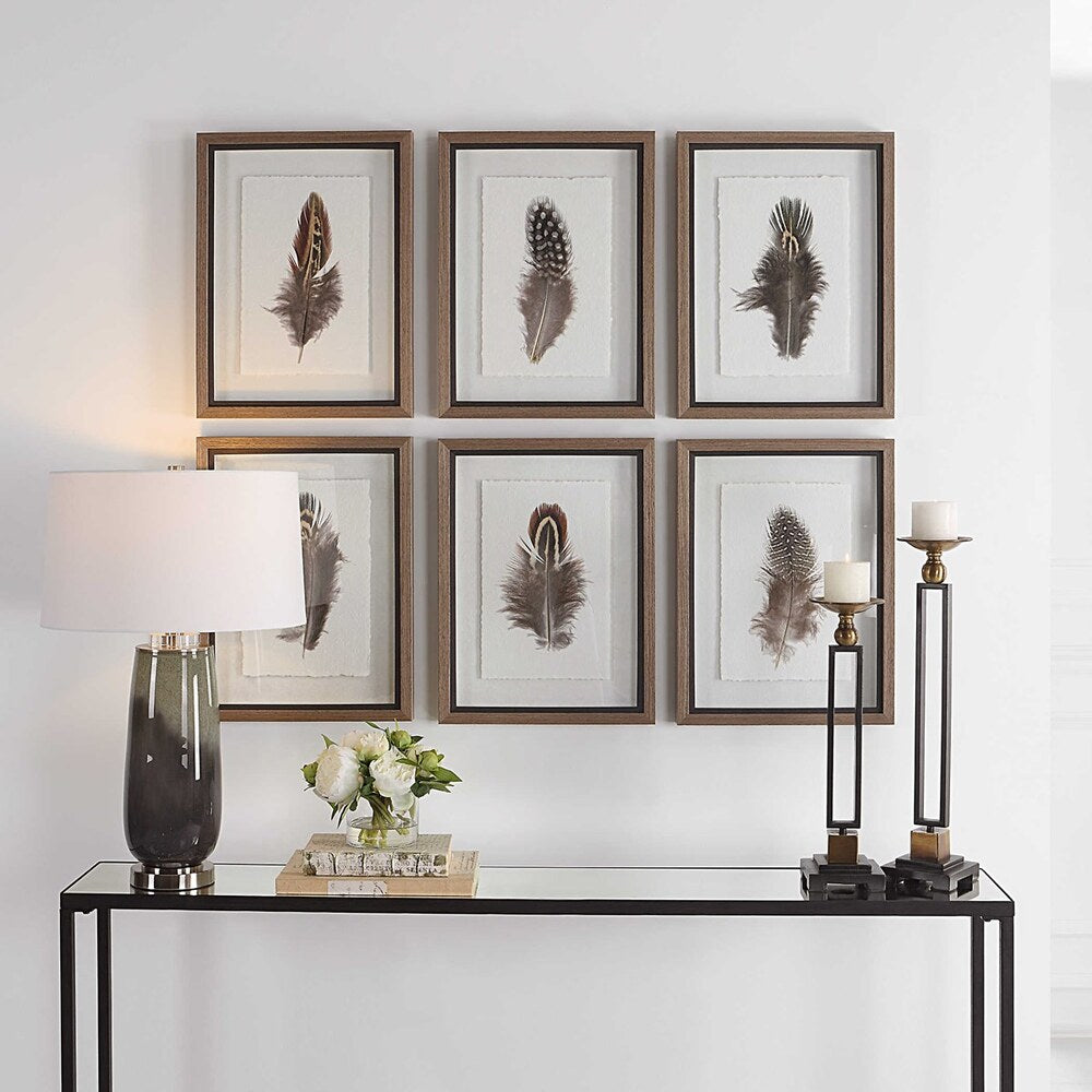 Feather prints in brown, cream, and charcoal, framed in rustic wood with a shadowbox effect under glass.