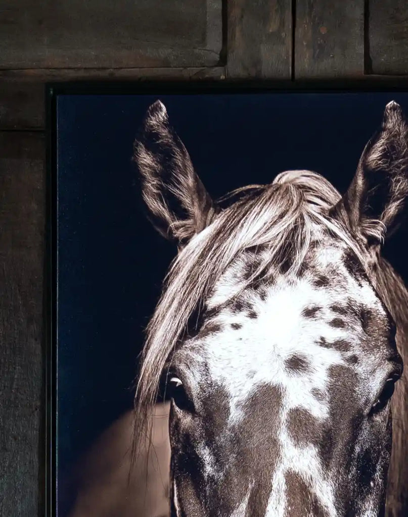 Close-up of the paint horse illustration in the Black and White Horse Framed Print, showcasing intricate details and soft color tones.