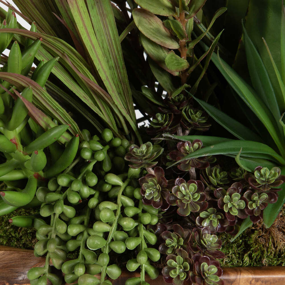 Teak bowl filled with a mix of aloe, jade, bromeliad, and string of pearls succulents for home decoration.