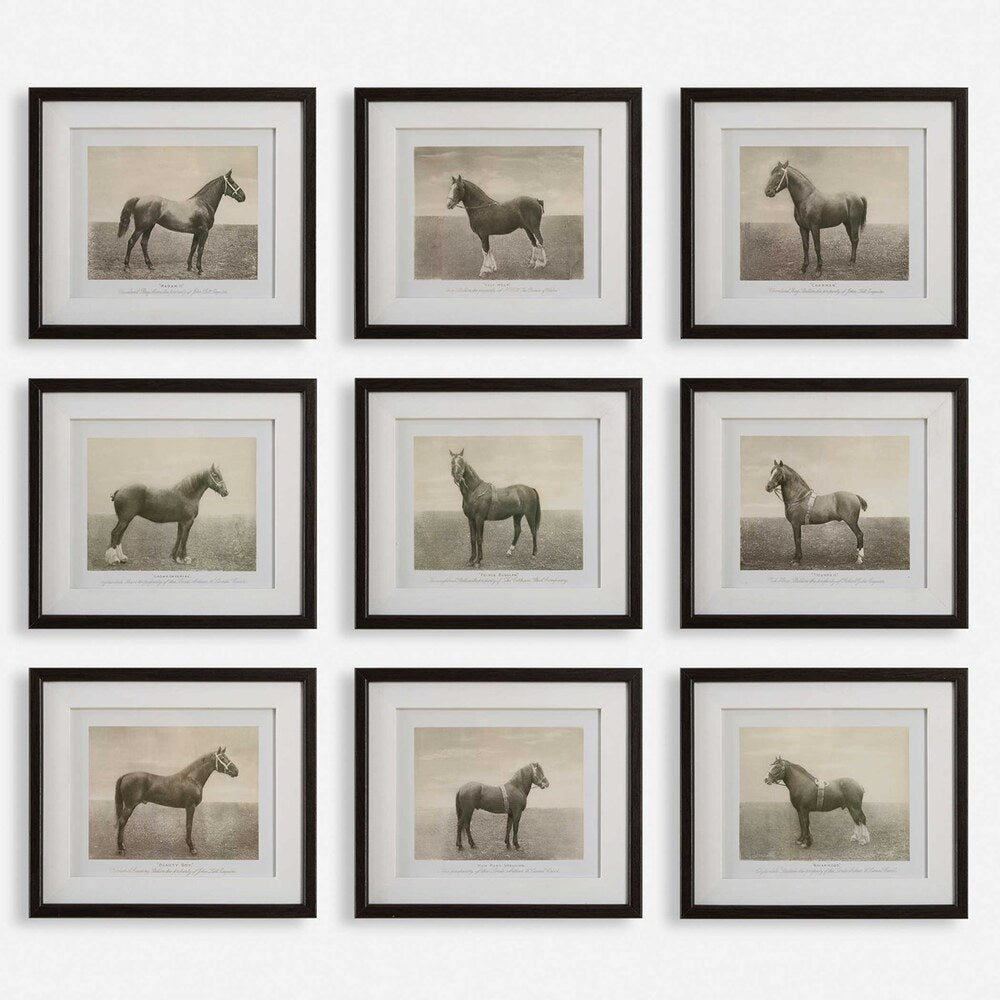 Vintage equine sketch collection with detailed antiqued prints, protected by glass and housed in beveled walnut frames.