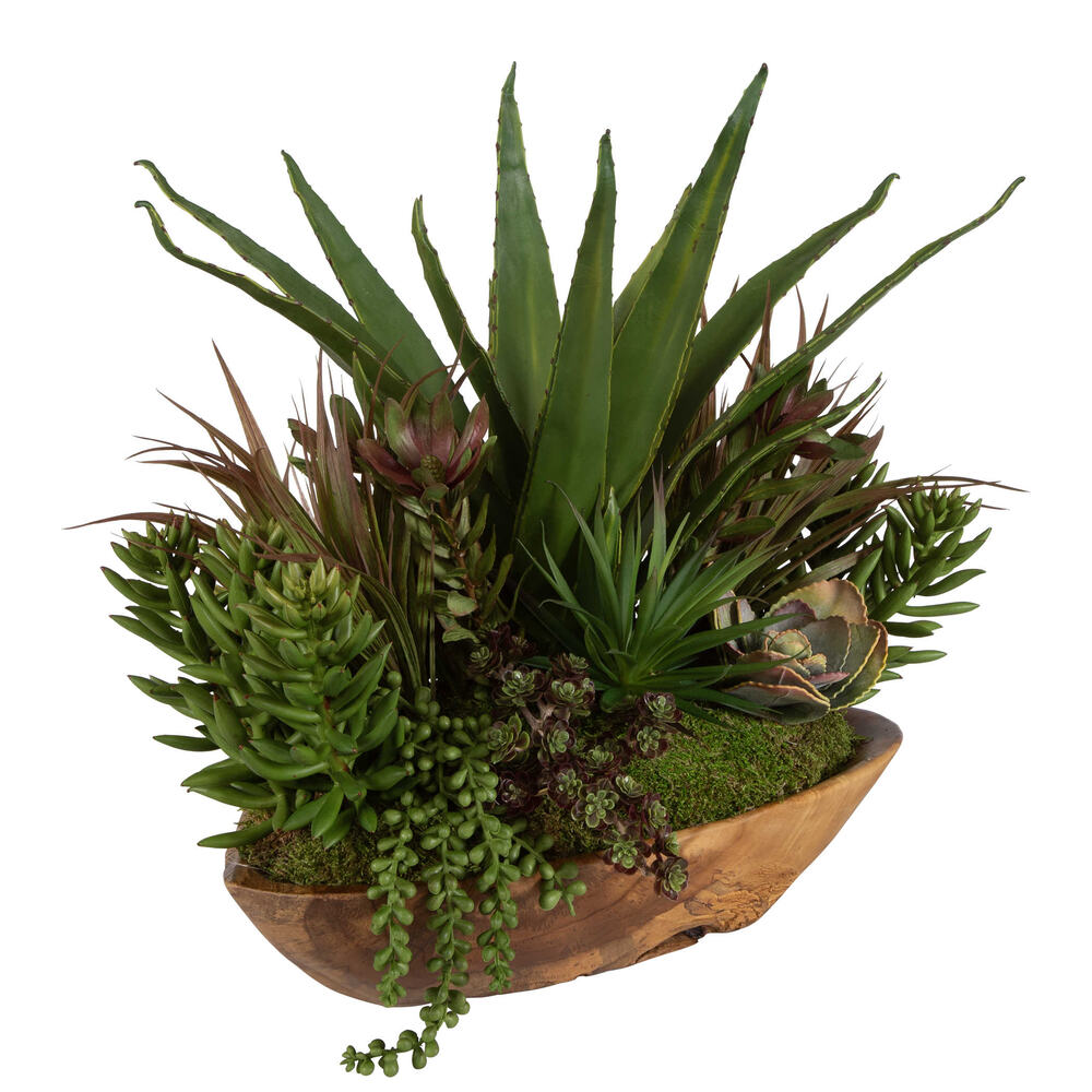 Stellar Mix Succulents featuring diverse succulent plants in a beautifully carved teak bowl.