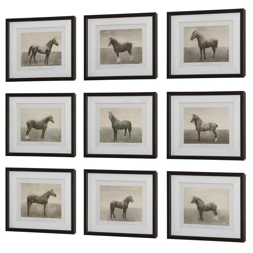 Set of nine horse sketches owned by elite individuals, framed in walnut with white linen liners for an elegant, timeless look.