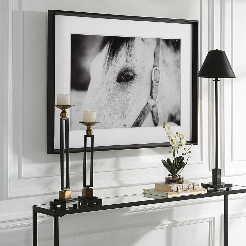 Elegant equine portrait with white matting and glass overlay.