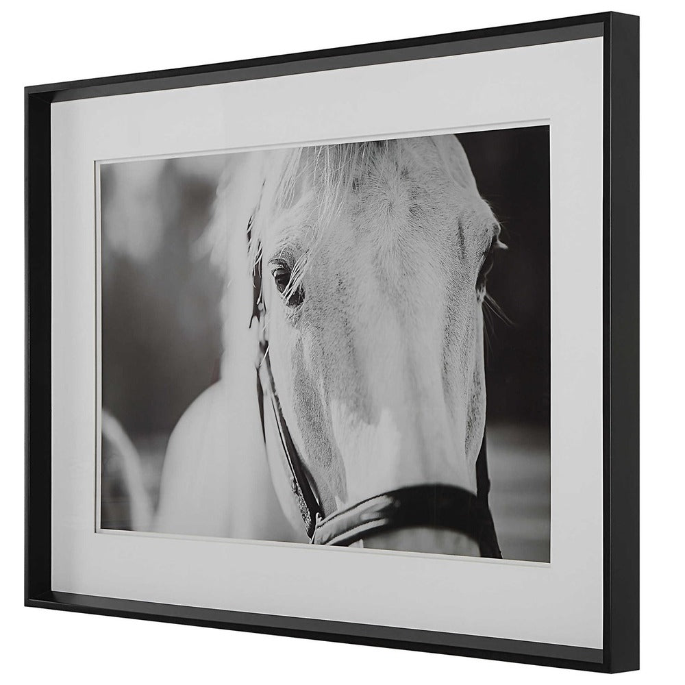 Equine art complemented by white matting and a modern frame.