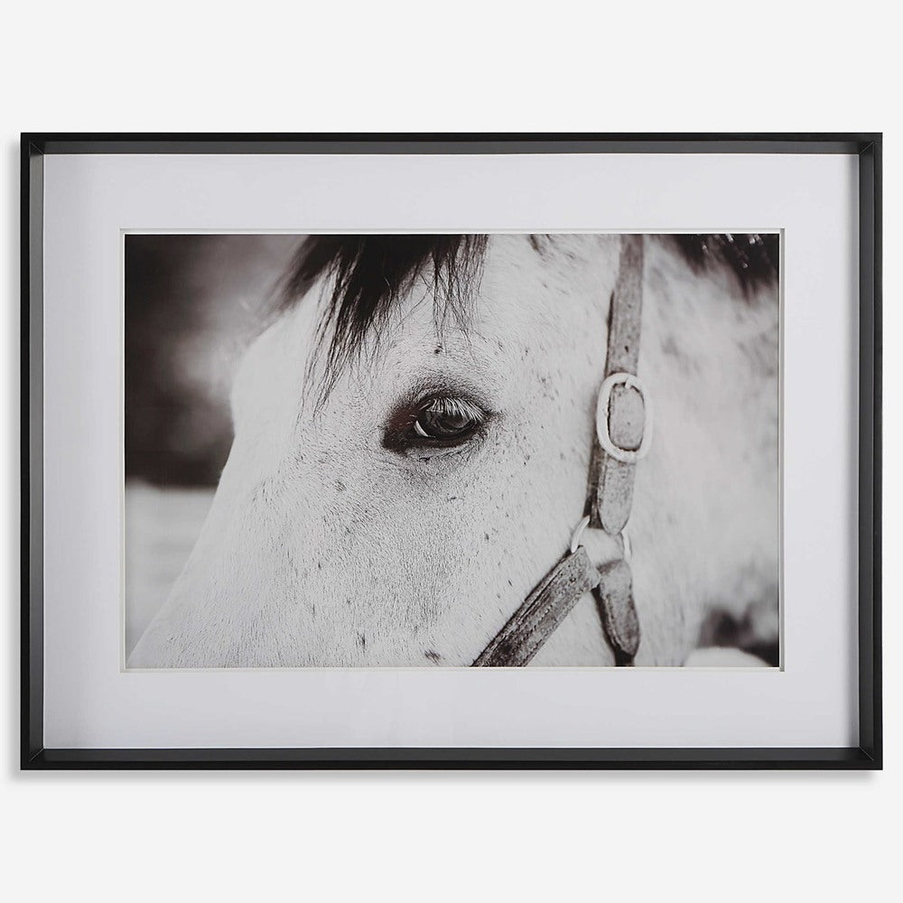 Black-and-white horse art with layered mat and glass protection.