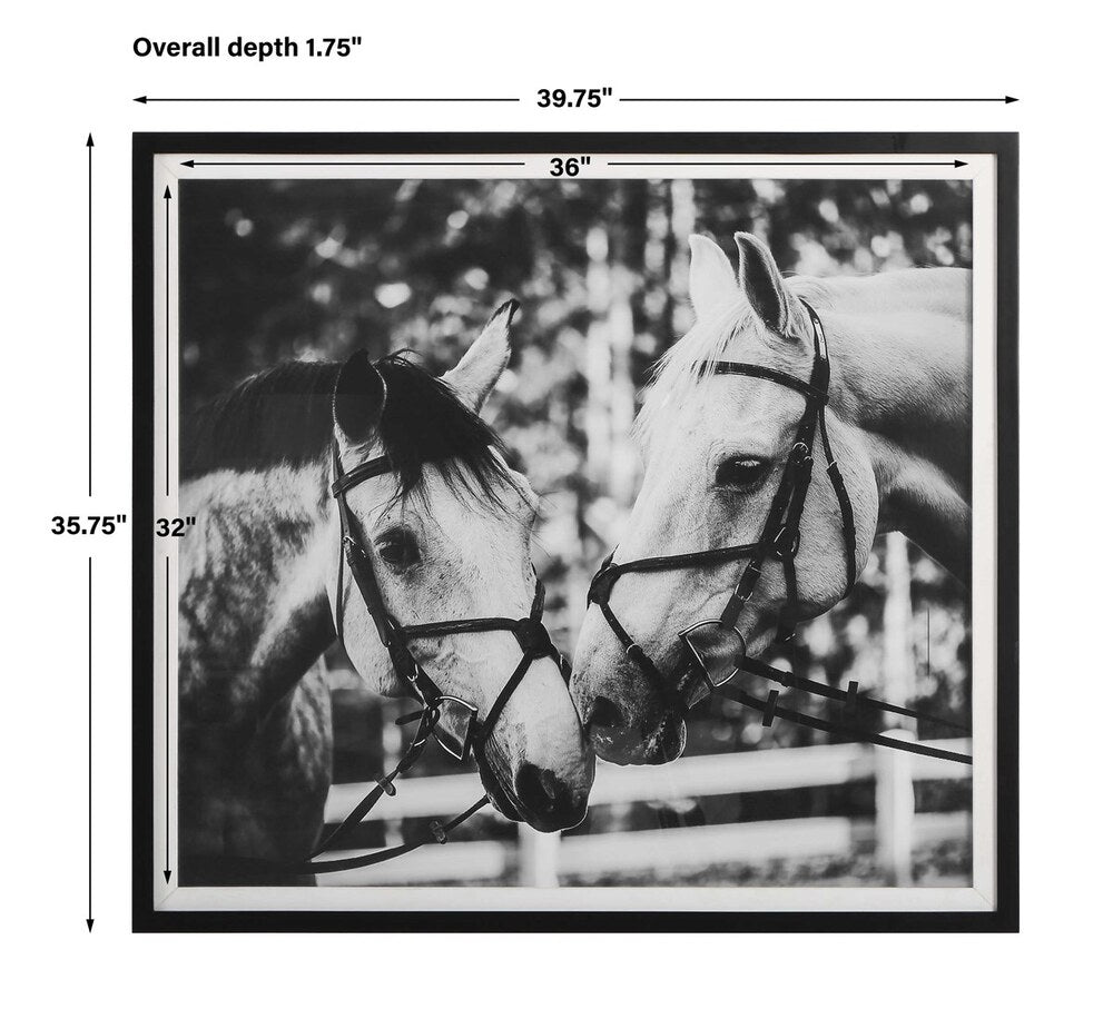 Grayscale framed photograph of two horses in nature, showcasing their bridles and gentle expressions.