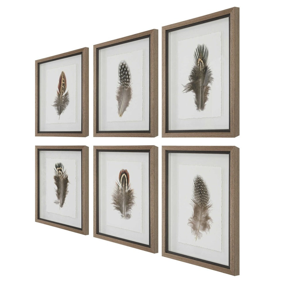 Feather prints with shadowbox-style rustic wood frames and deckled edges.