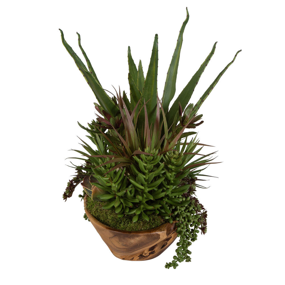 Handcrafted teak bowl holding a variety of succulents, including bromeliad and jade, perfect for indoor decor.