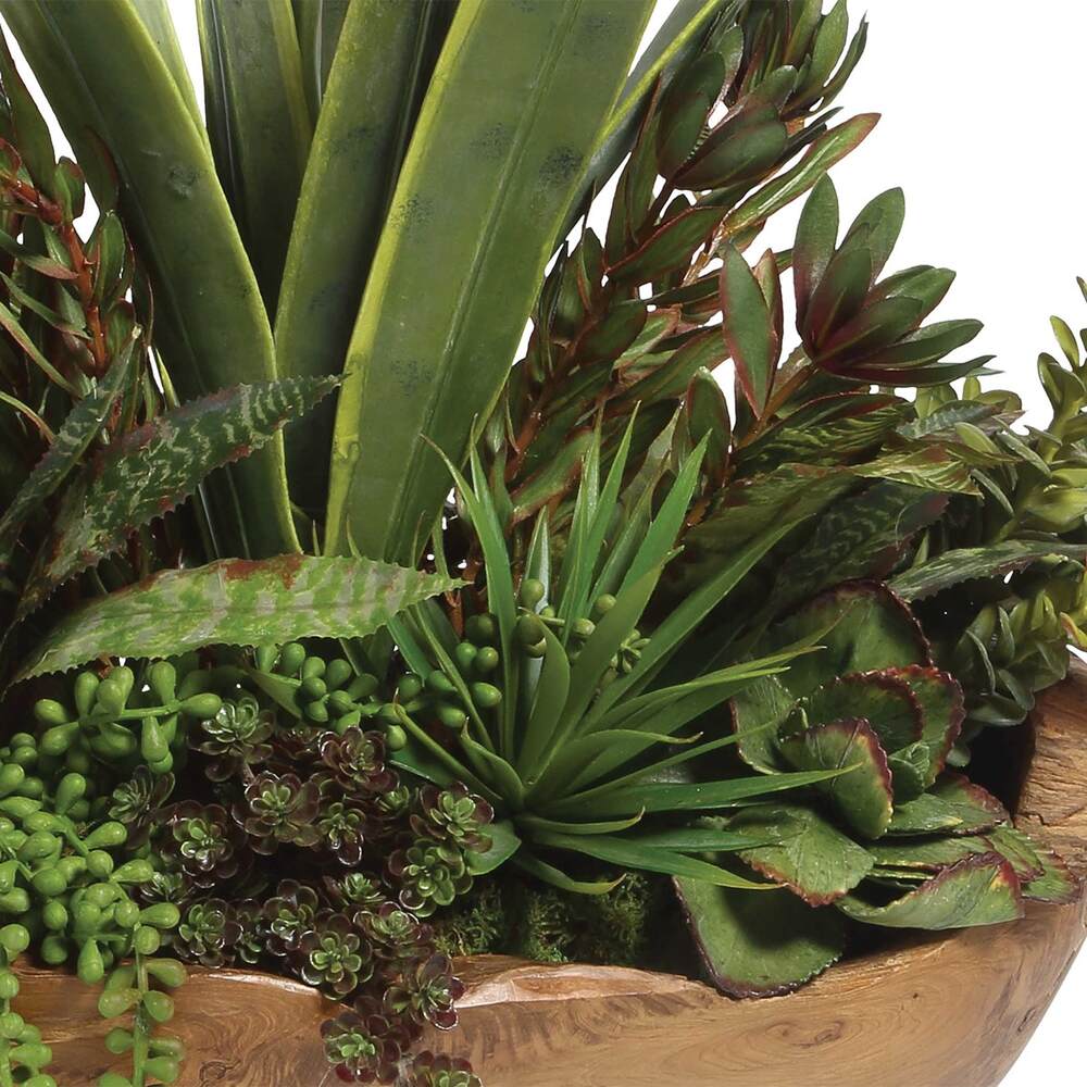 Close-up of vibrant aloe, jade, and string of pearls succulents arranged in a rustic teak planter.