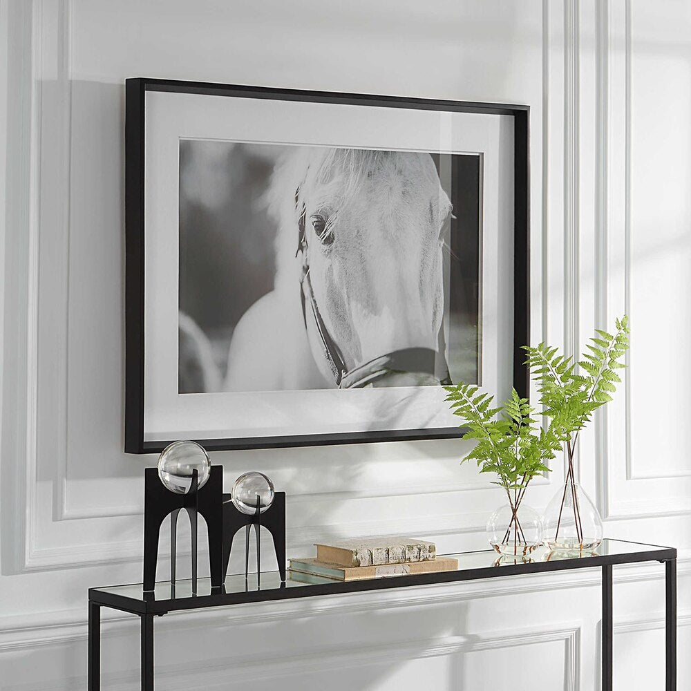 Monochromatic equine portrait framed in satin black elegance.