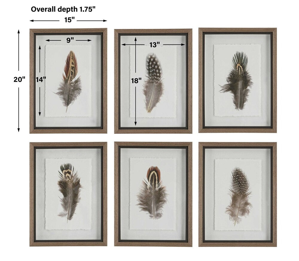 Set of framed feather prints with textured details, rustic wood frames, and shadowbox-style glass protection.