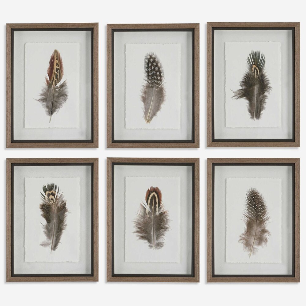 Feather art set with textured paper, hand-torn deckled edges, and a rustic wood tone frame.