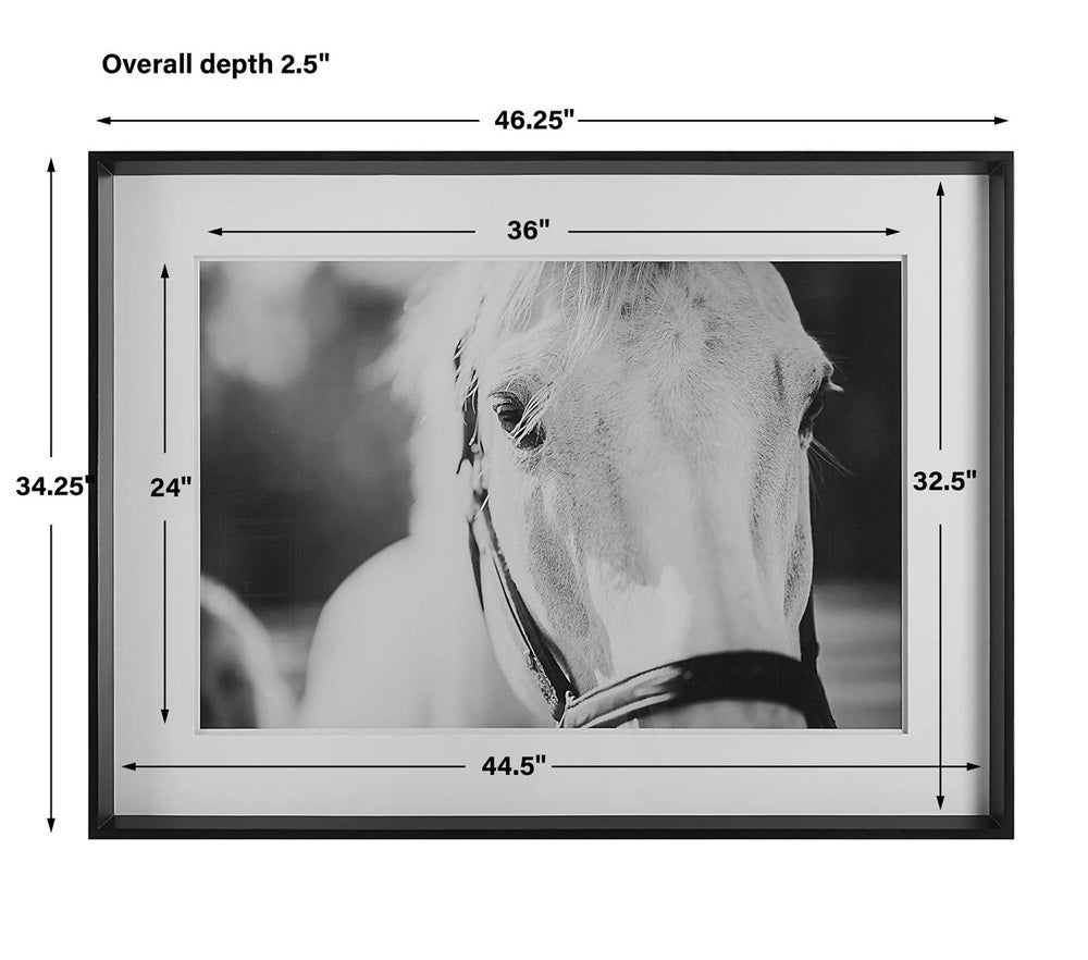 Horse portrait framed in sleek satin black with white matting.