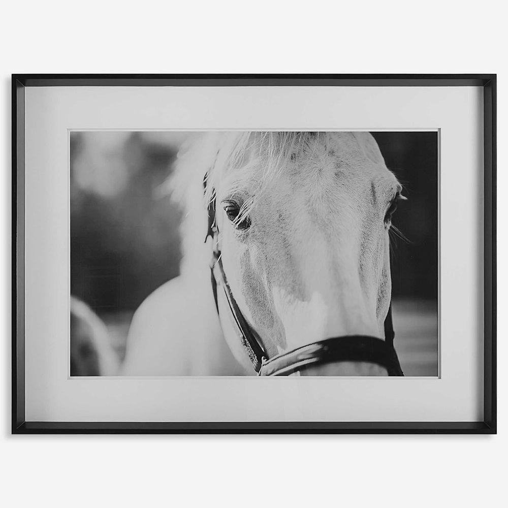 Soulful equine art capturing the antiquity of the soul.