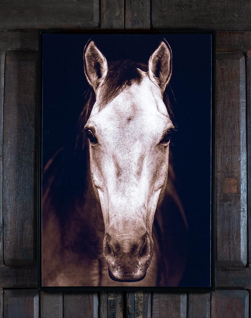 Tan Horse Headshot Framed Print featuring a highly detailed horse headshot against a sleek black backdrop, elegantly framed in matte black.