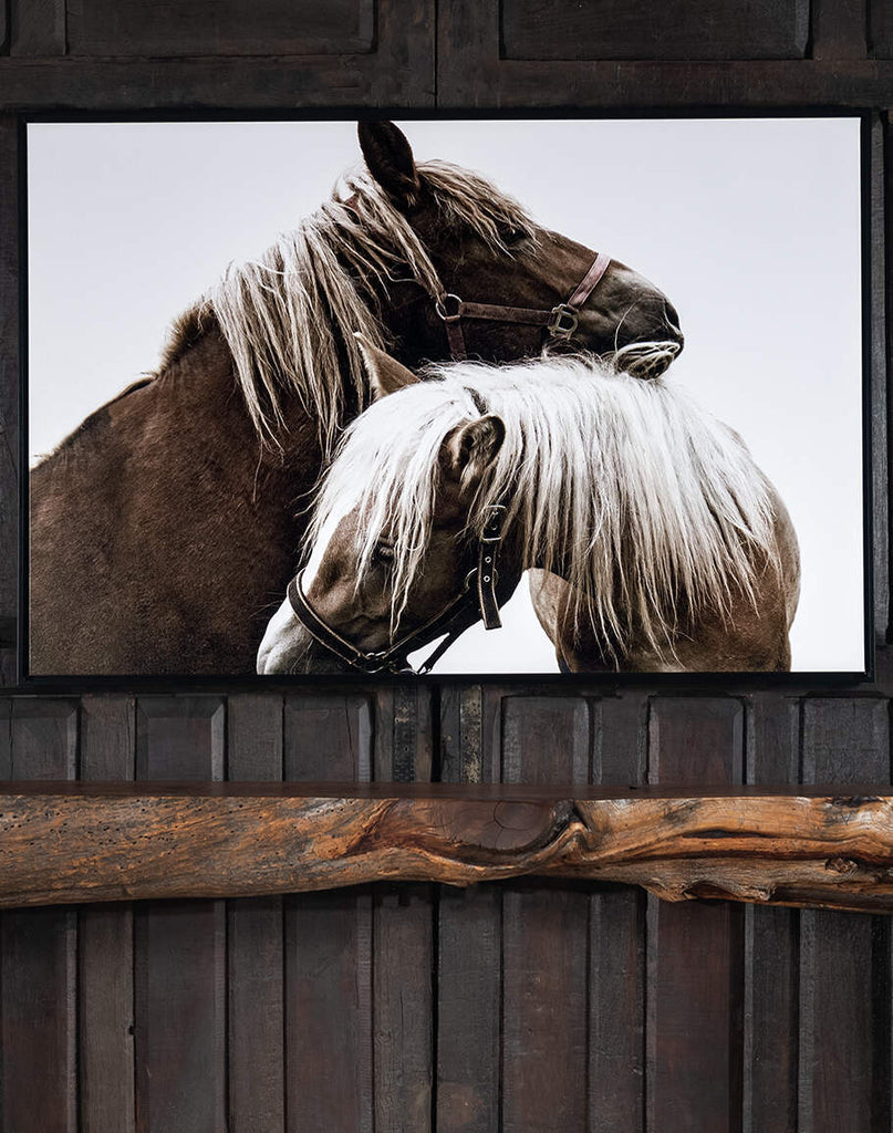 "The Tenderhearted" framed art featuring two horses in a tender embrace, set against a pristine white backdrop with a matte black frame.